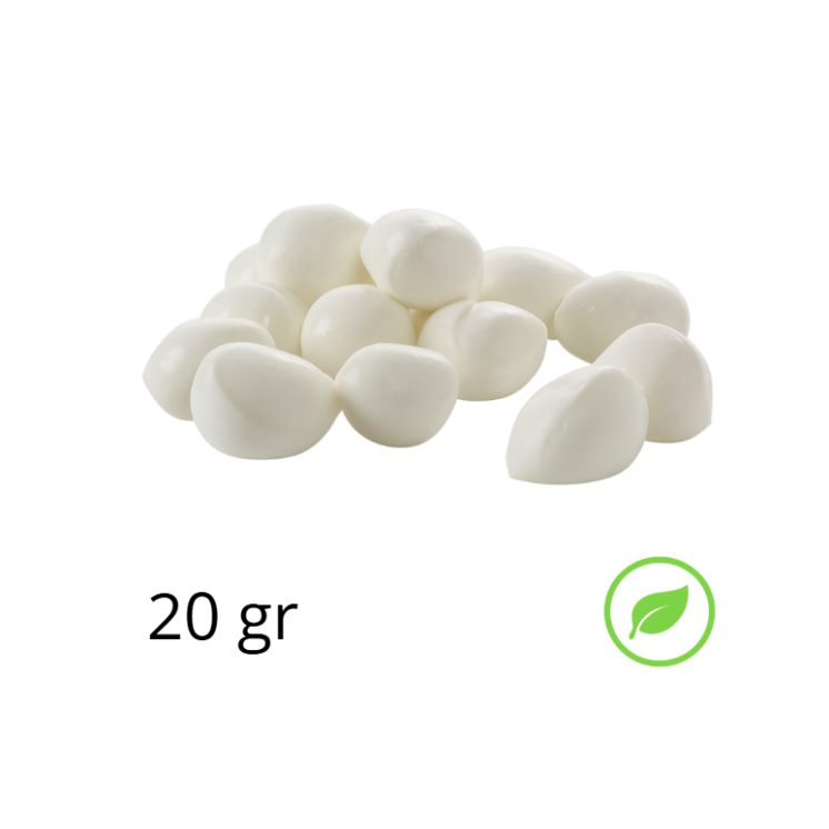 Mozzarella Ciliegina Bio GR 20x250