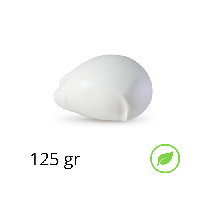 Mozzarella Fiordilatte Bio GR 125x20