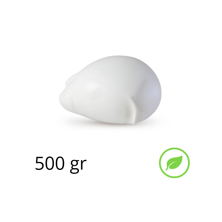 Mozzarella Fiordilatte Bio GR 500x8