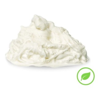 Stracciatella Bio KG 2,5