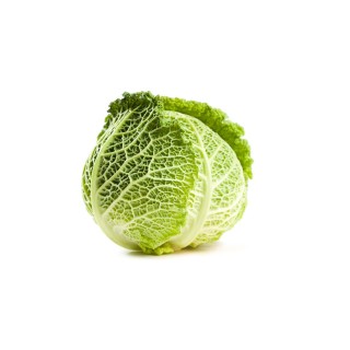 Cavolo Verza Bio