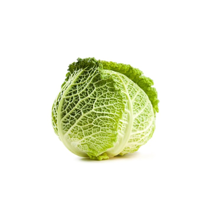 Cavolo Verza Bio