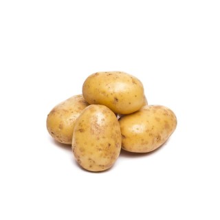 Patate Bio