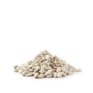 Fagioli Borlotti Secchi Bio