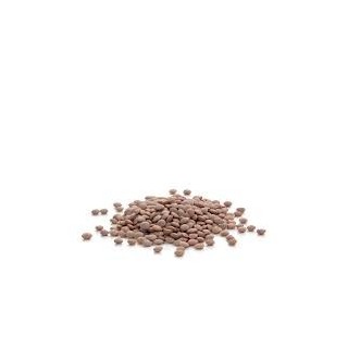 Lenticchie Secchi Bio