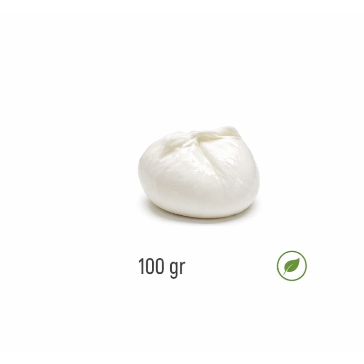 Mozzarella Bio GR 100x10pz