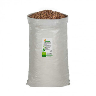 FAGIOLI BORLOTTI BIO KG 25