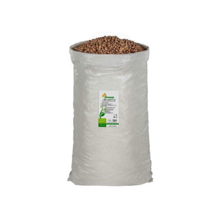 FAGIOLI BORLOTTI BIO KG 25