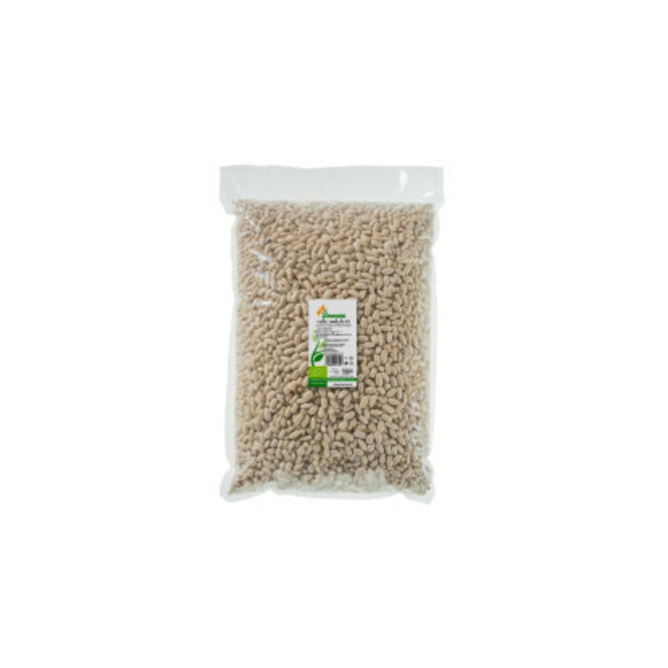 FAGIOLI CANNELLINI BIO KG 25