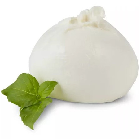 Burrata GR 200X15