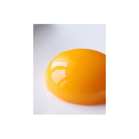 Tuorlo D'Uova Normale Brick KG 1