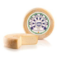 Toma Piemontese DOP piccola KG 2,5