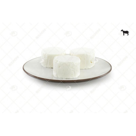 Caprino Vaccino GR 80x10