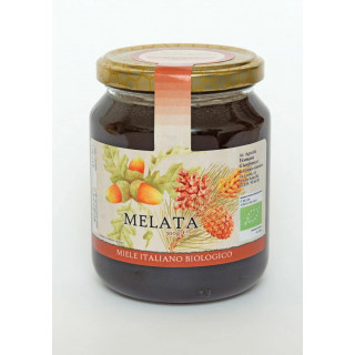 MIELE DI MELATA 500G X 12