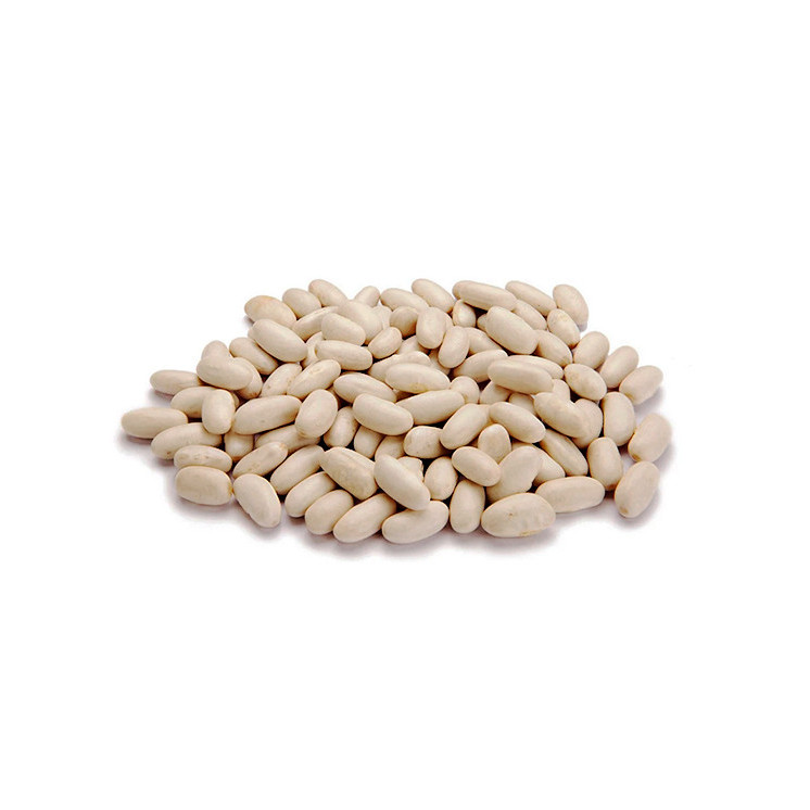Fagioli Cannellini Bio KG 25