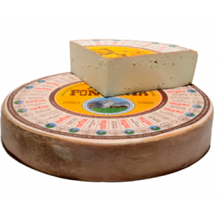 Fontina DOP 1/4 Forma KG 1,9
