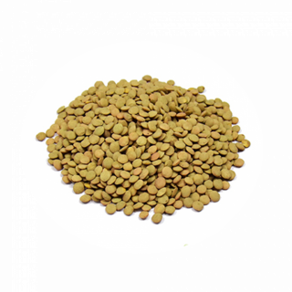 Lenticchie Verdi Bio KG 25