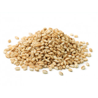 Orzo Perlato Bio KG 5