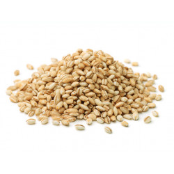 Orzo Perlato Bio KG 5