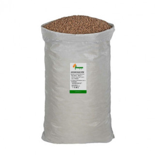 LENTICCHIE VERDI BIO KG 25