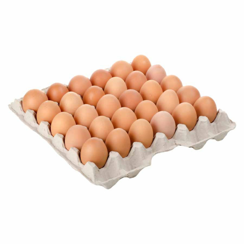 Uova bio sfuse cat. A 90 PZ